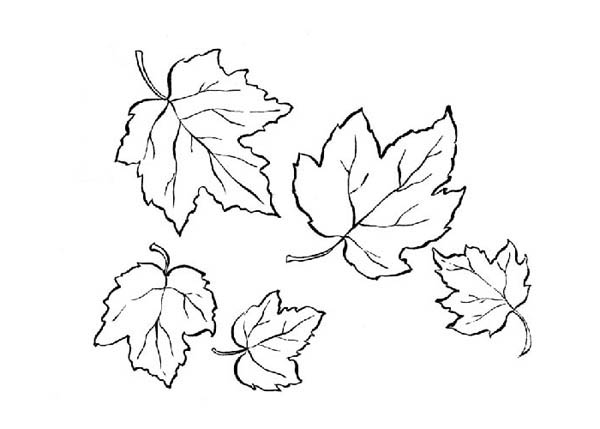 Раскраска: Осенний сезон (природа) #164376 - Бесплатные раскраски для печати