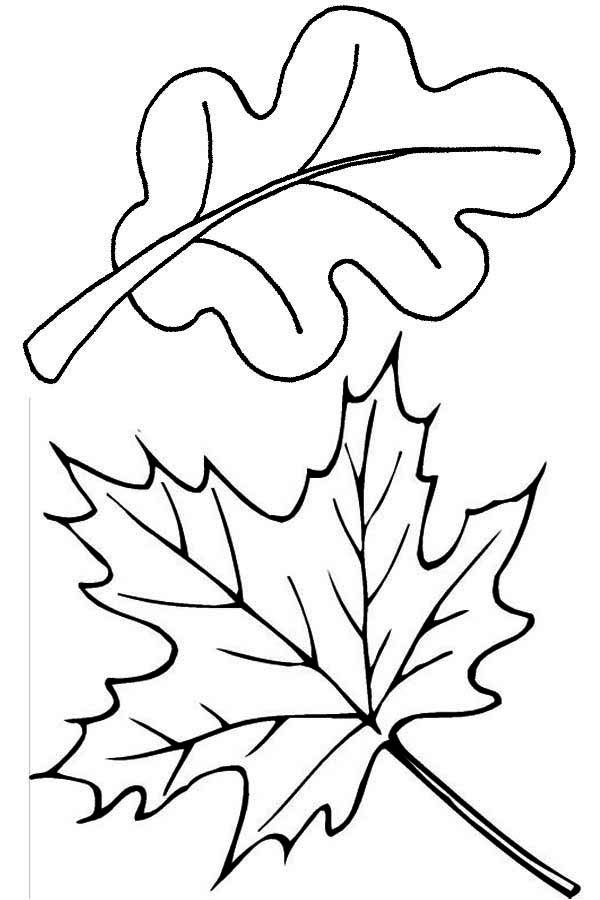 Раскраска: Осенний сезон (природа) #164386 - Бесплатные раскраски для печати