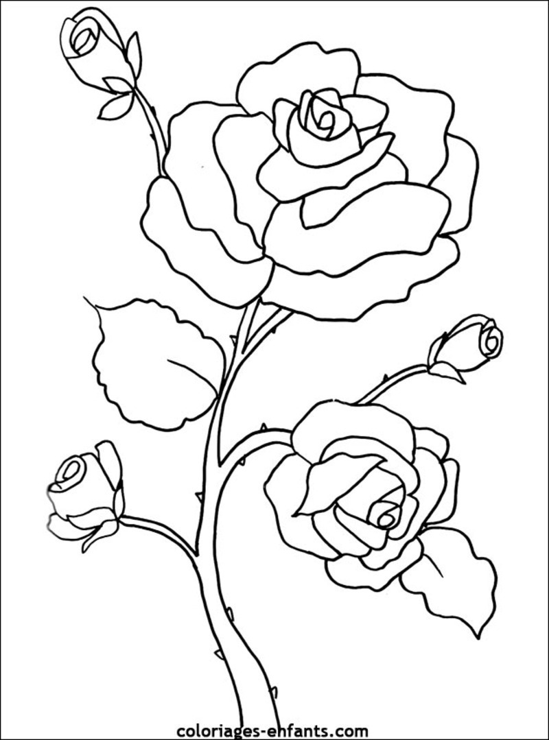 Раскраска: цветы (природа) #154967 - Бесплатные раскраски для печати