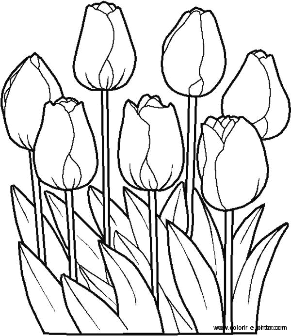 Раскраска: цветы (природа) #154985 - Бесплатные раскраски для печати
