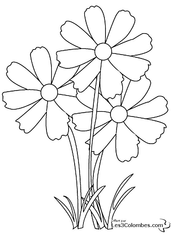 Раскраска: цветы (природа) #155003 - Бесплатные раскраски для печати