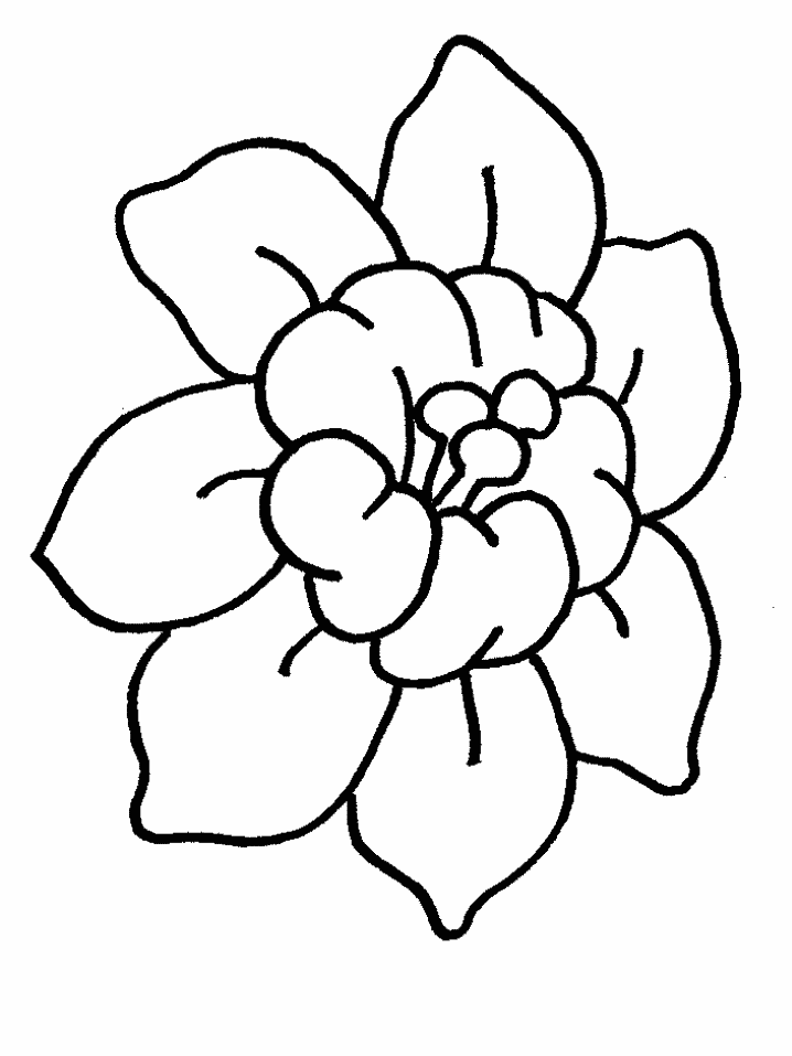 Раскраска: цветы (природа) #155010 - Бесплатные раскраски для печати