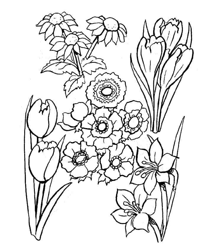 Раскраска: цветы (природа) #155035 - Бесплатные раскраски для печати