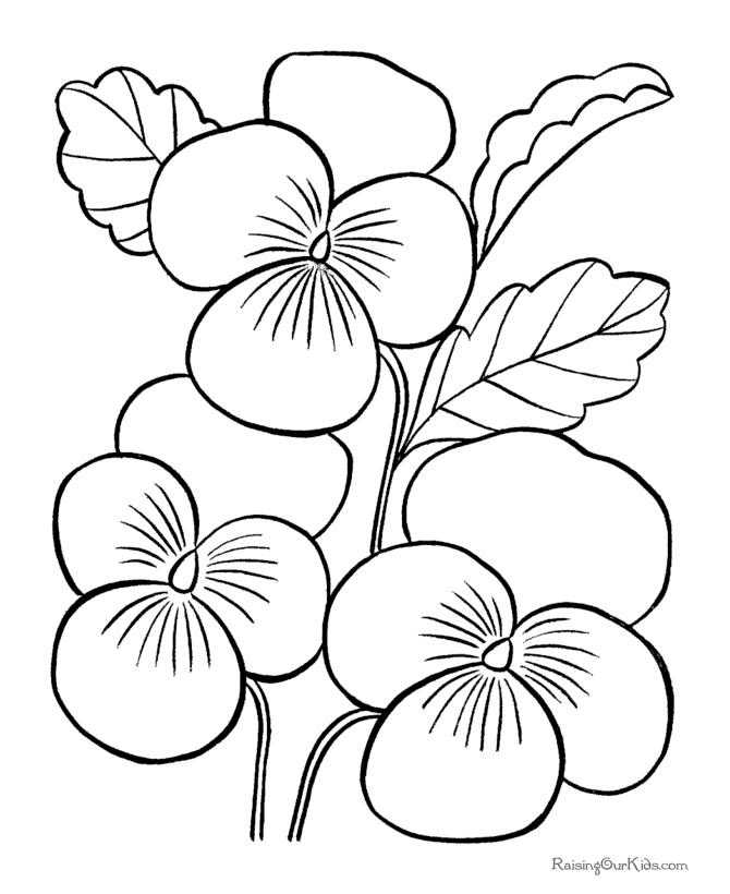 Раскраска: цветы (природа) #155085 - Бесплатные раскраски для печати