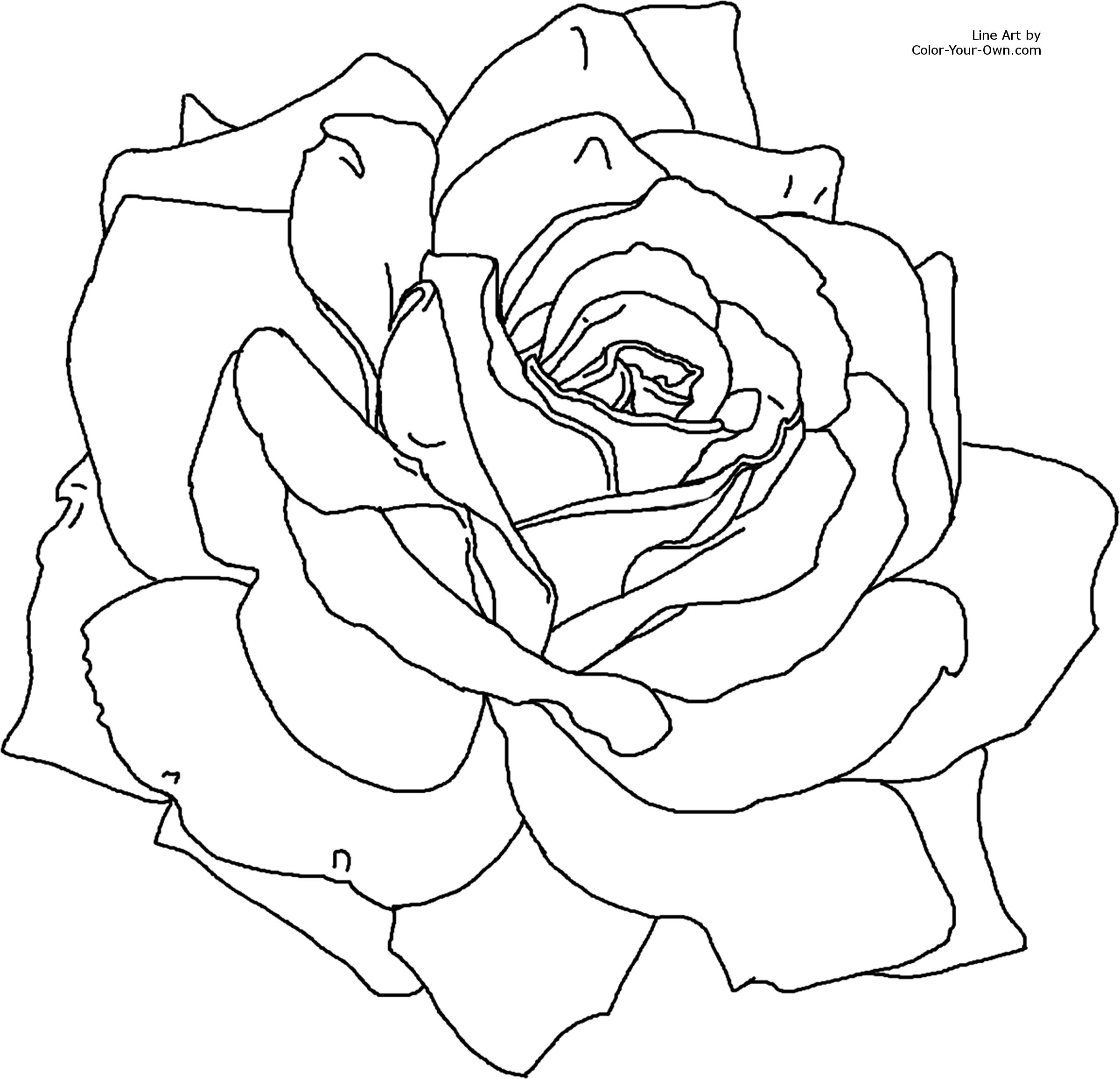 Раскраска: цветы (природа) #155098 - Бесплатные раскраски для печати