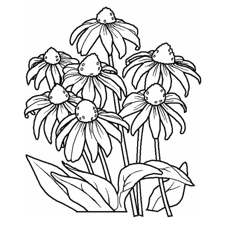 Раскраска: цветы (природа) #155142 - Бесплатные раскраски для печати