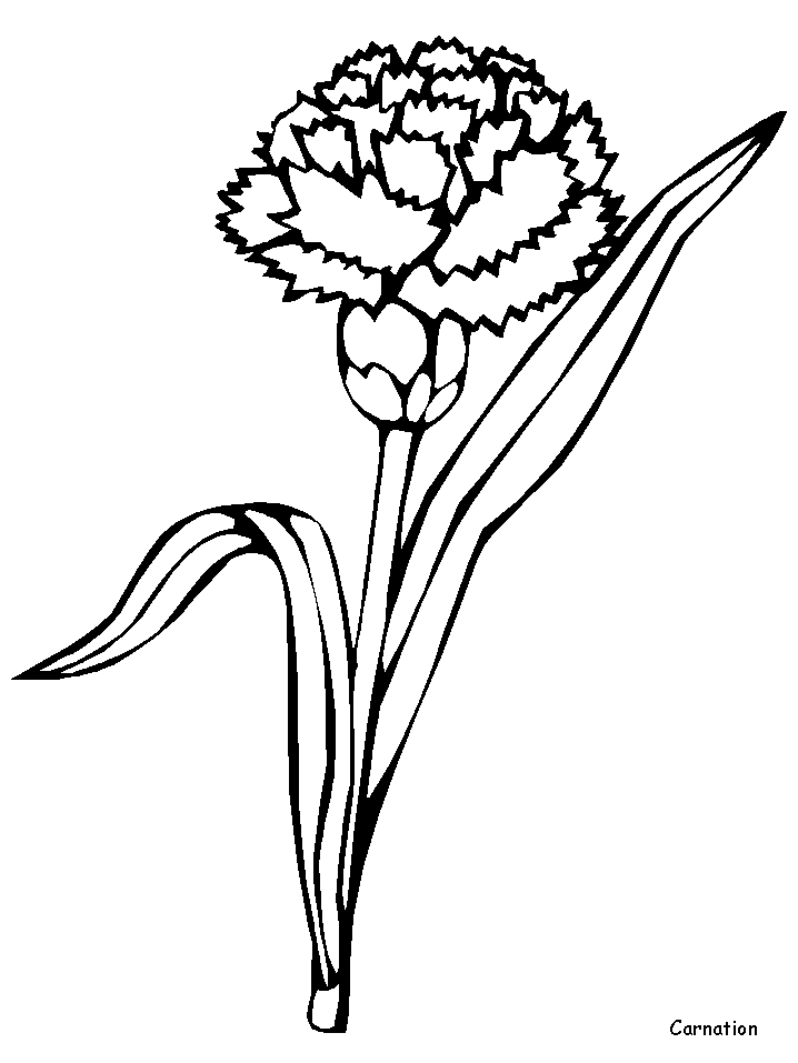 Раскраска: цветы (природа) #155180 - Бесплатные раскраски для печати