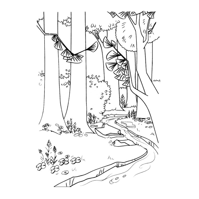 Раскраска: лес (природа) #157000 - Бесплатные раскраски для печати