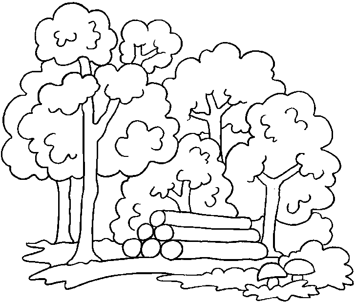 Раскраска: лес (природа) #157001 - Бесплатные раскраски для печати