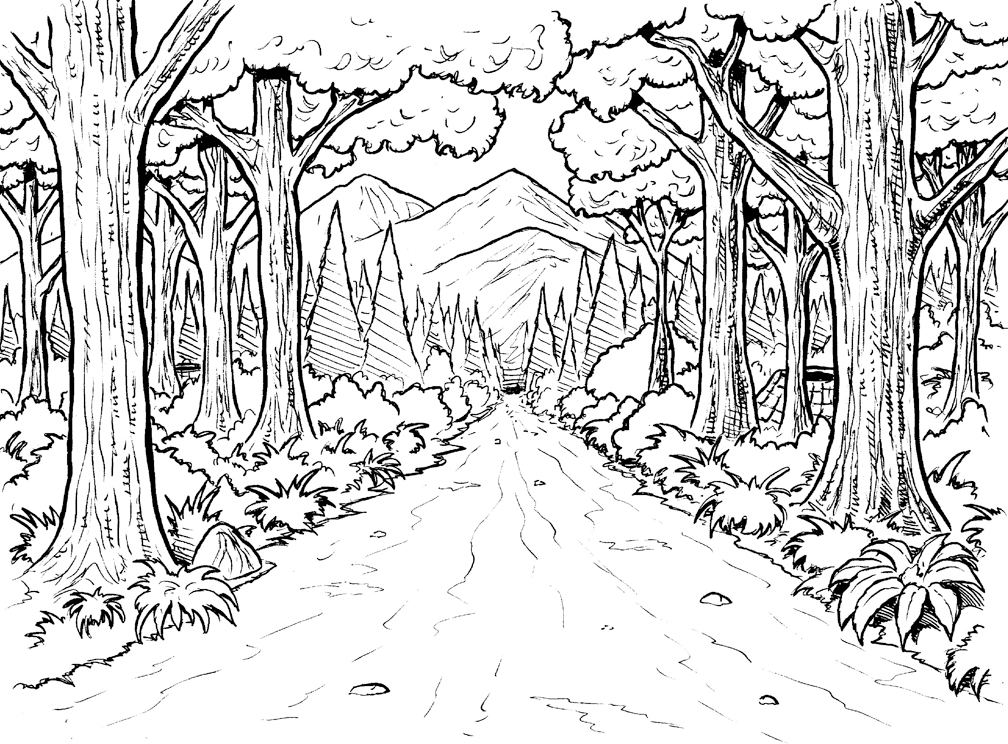 Раскраска: лес (природа) #157003 - Бесплатные раскраски для печати
