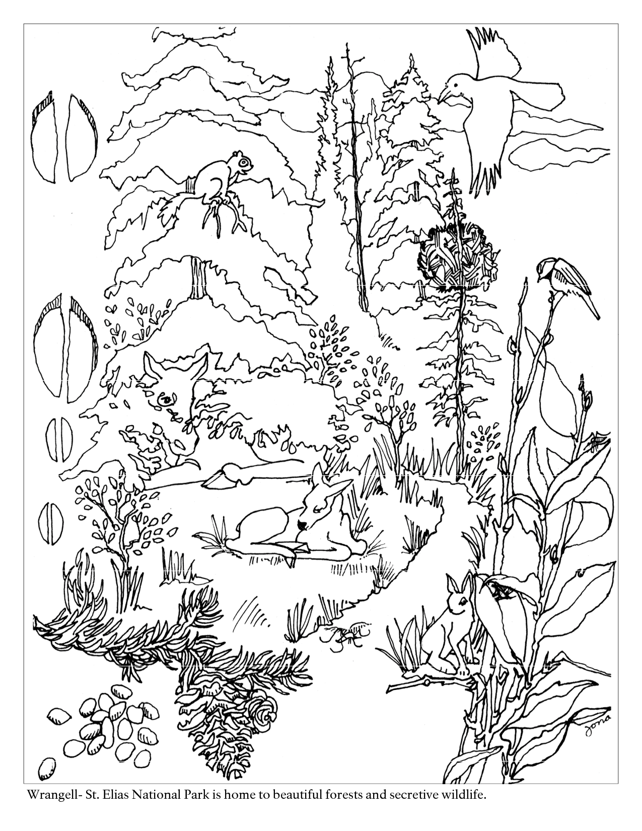 Раскраска: лес (природа) #157007 - Бесплатные раскраски для печати