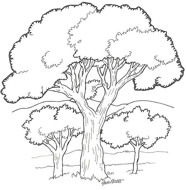Раскраска: лес (природа) #157016 - Бесплатные раскраски для печати