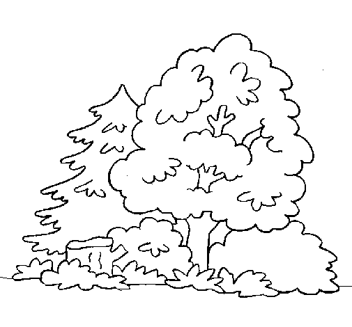 Раскраска: лес (природа) #157044 - Бесплатные раскраски для печати