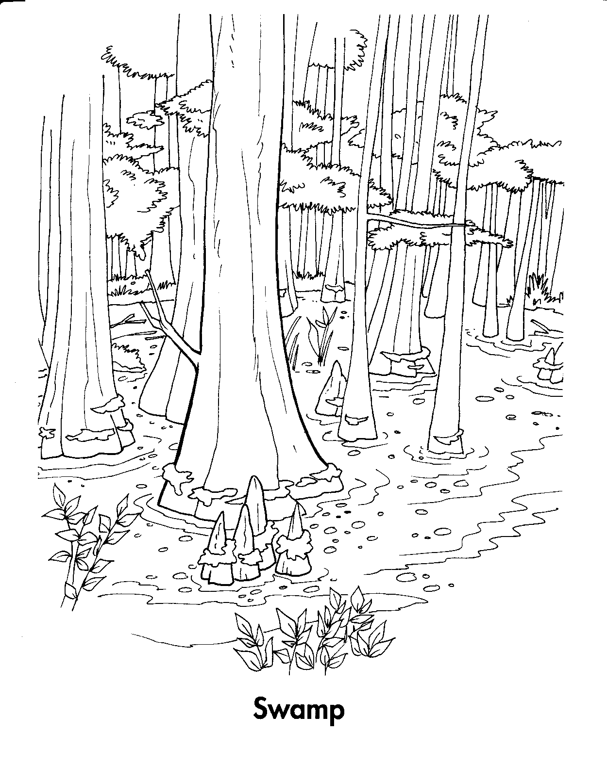 Раскраска: лес (природа) #157057 - Бесплатные раскраски для печати
