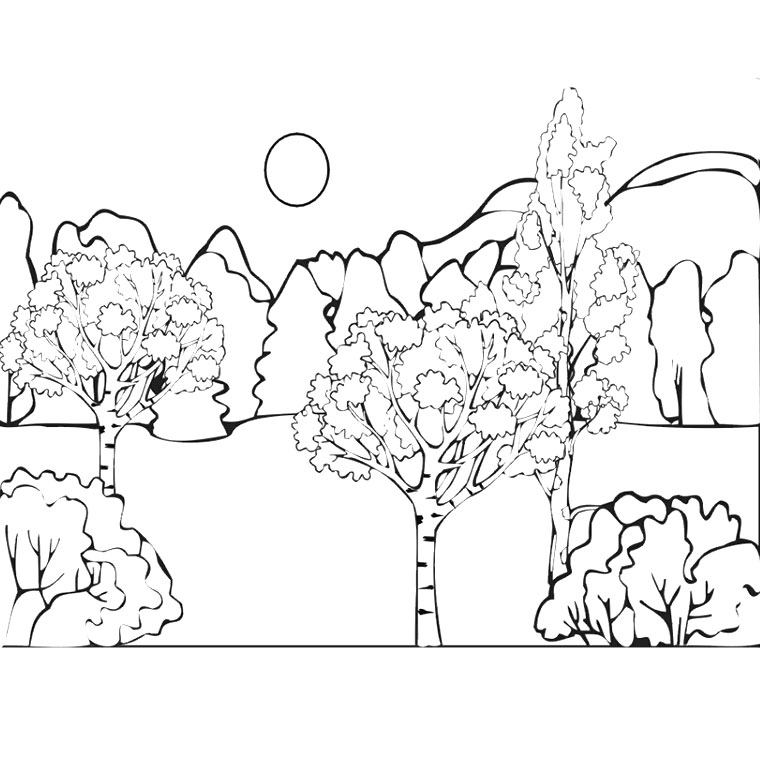Раскраска: лес (природа) #157059 - Бесплатные раскраски для печати