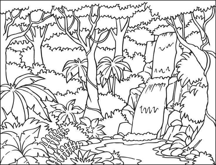 Раскраска: лес (природа) #157061 - Бесплатные раскраски для печати