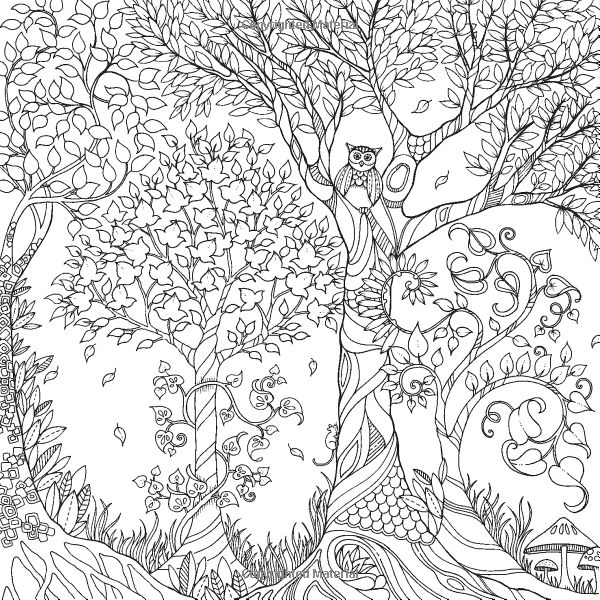 Раскраска: лес (природа) #157073 - Бесплатные раскраски для печати
