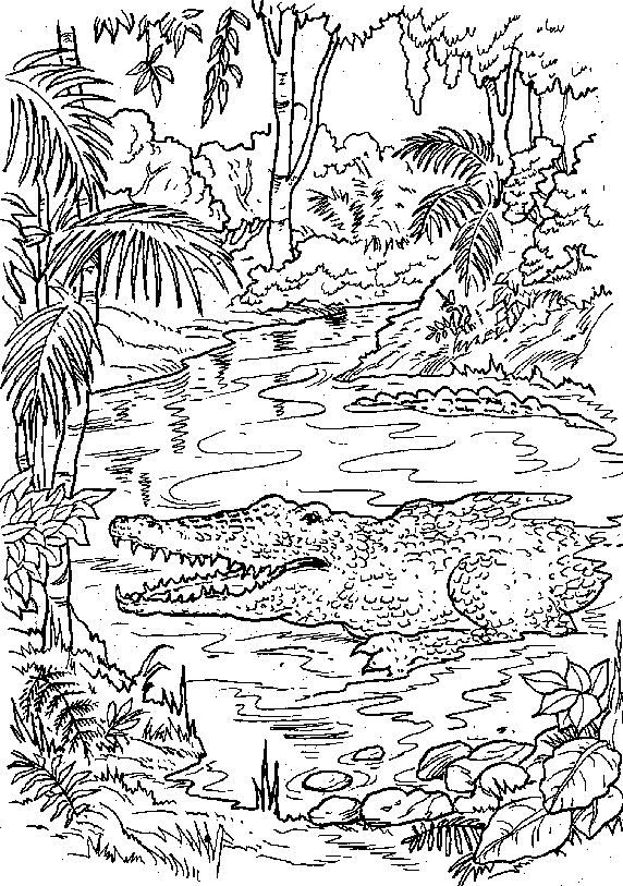 Раскраска: лес (природа) #157236 - Бесплатные раскраски для печати