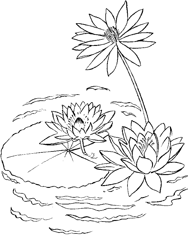 Раскраска: озеро (природа) #166200 - Бесплатные раскраски для печати