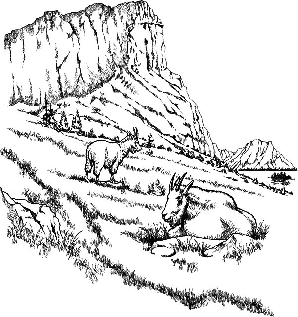 Раскраска: гора (природа) #156739 - Бесплатные раскраски для печати