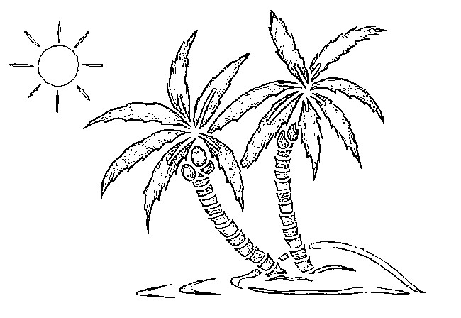 Раскраска: пальма (природа) #161114 - Бесплатные раскраски для печати