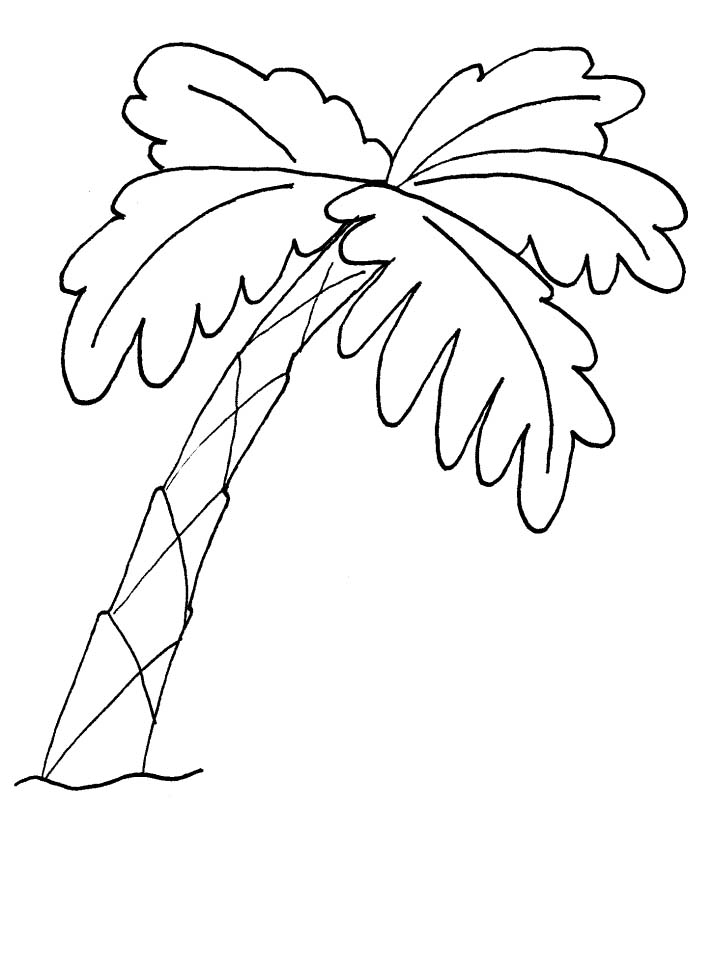 Раскраска: пальма (природа) #161116 - Бесплатные раскраски для печати