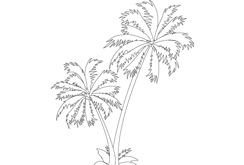 Раскраска: пальма (природа) #161122 - Бесплатные раскраски для печати
