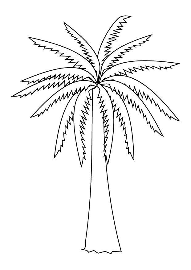 Раскраска: пальма (природа) #161137 - Бесплатные раскраски для печати