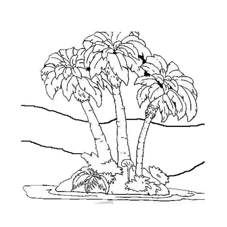 Раскраска: пальма (природа) #161153 - Бесплатные раскраски для печати