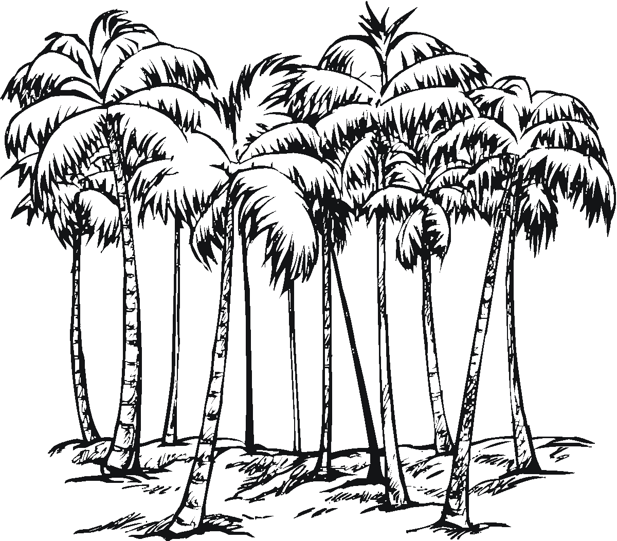 Раскраска: пальма (природа) #161177 - Бесплатные раскраски для печати