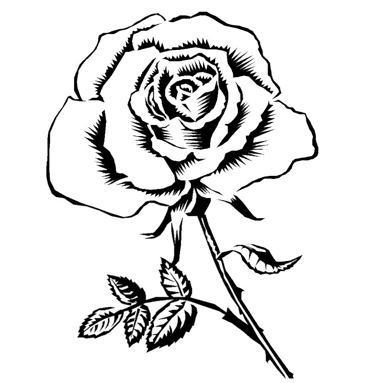 Раскраска: розы (природа) #161863 - Бесплатные раскраски для печати