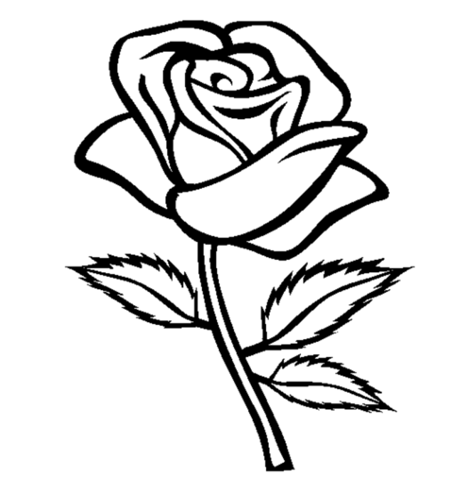 Раскраска: розы (природа) #161866 - Бесплатные раскраски для печати