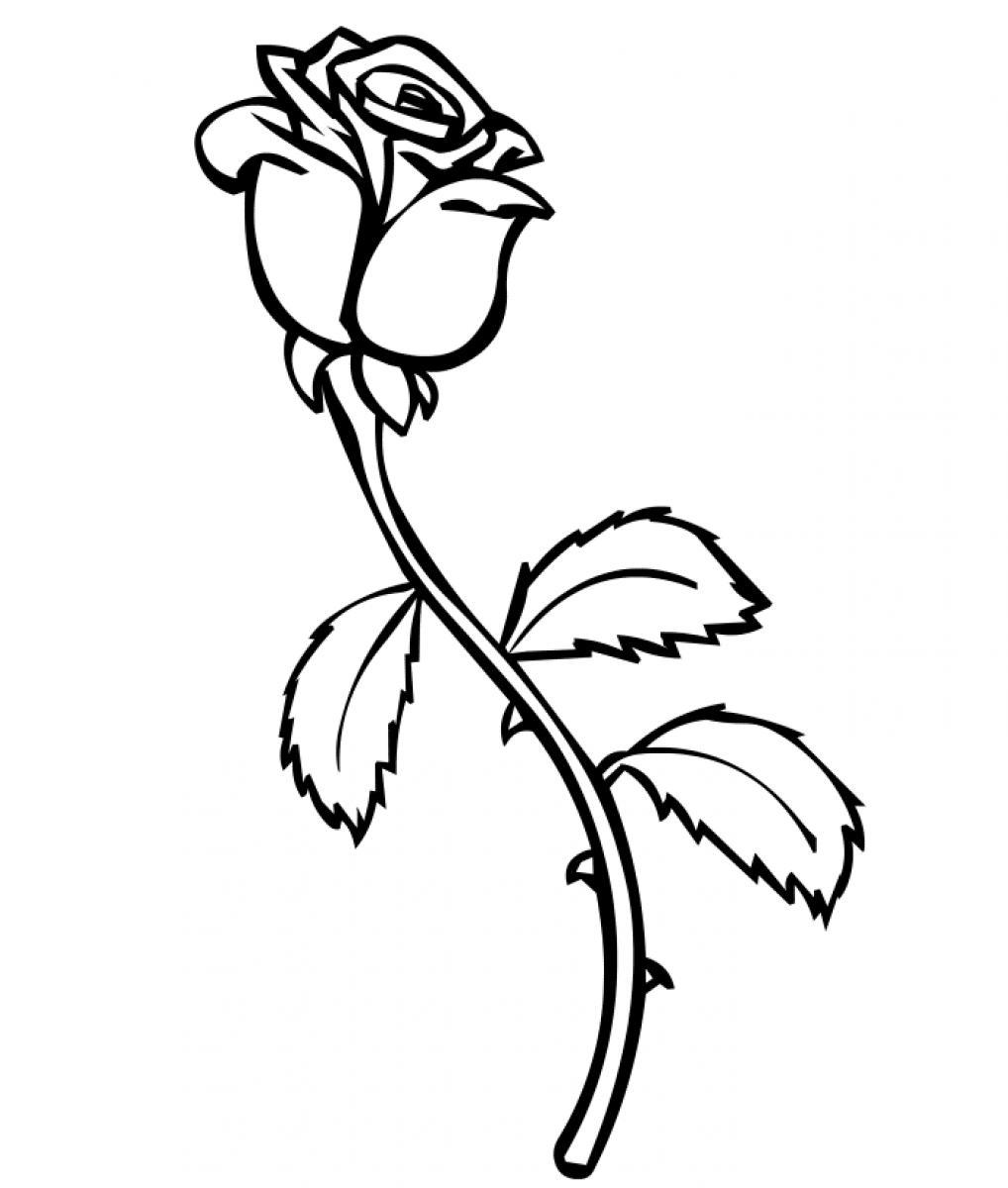 Раскраска: розы (природа) #161873 - Бесплатные раскраски для печати