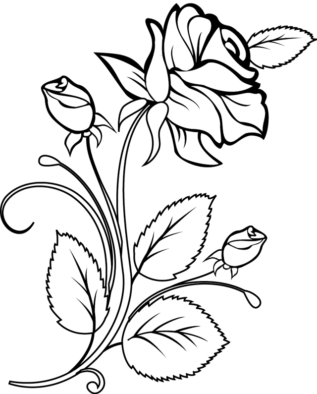 Раскраска: розы (природа) #161874 - Бесплатные раскраски для печати