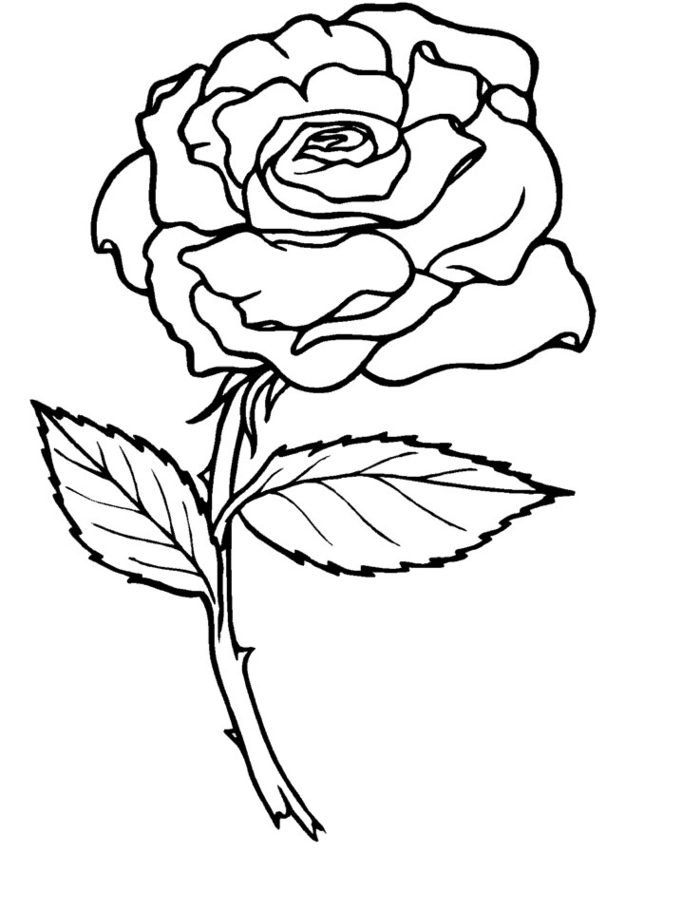 Раскраска: розы (природа) #161884 - Бесплатные раскраски для печати