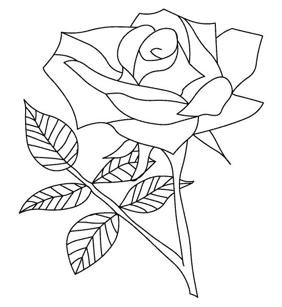 Раскраска: розы (природа) #161894 - Бесплатные раскраски для печати