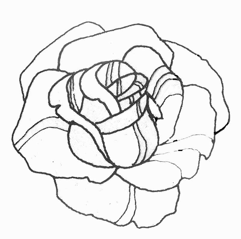 Раскраска: розы (природа) #161898 - Бесплатные раскраски для печати