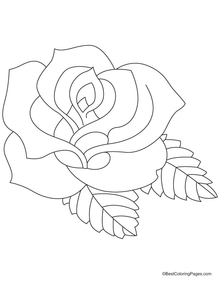 Раскраска: розы (природа) #161904 - Бесплатные раскраски для печати