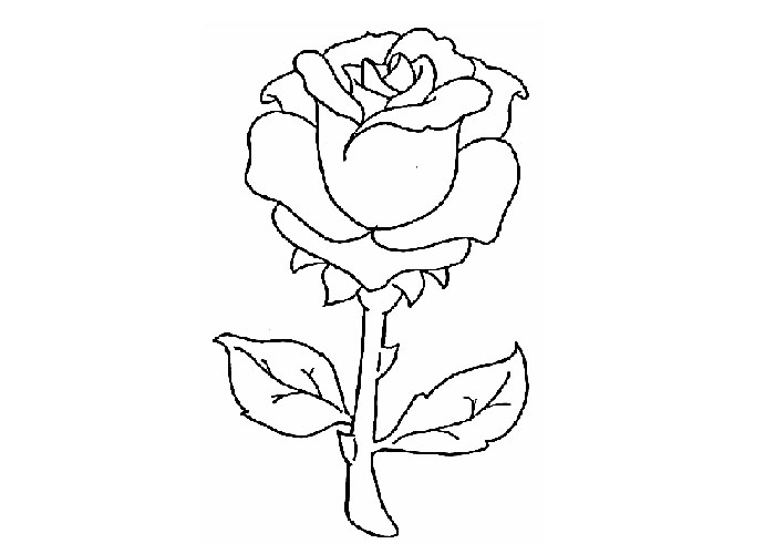 Раскраска: розы (природа) #161907 - Бесплатные раскраски для печати