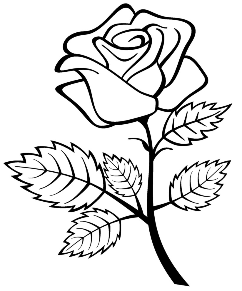 Раскраска: розы (природа) #161909 - Бесплатные раскраски для печати