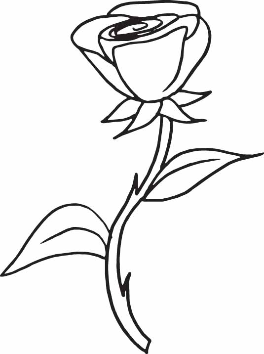 Раскраска: розы (природа) #161916 - Бесплатные раскраски для печати