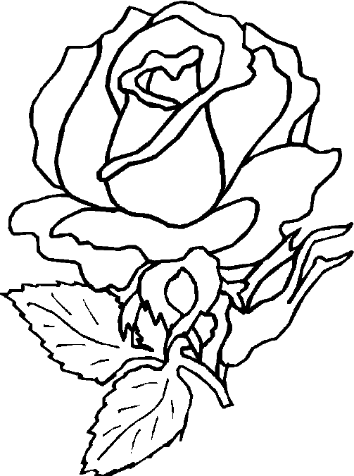 Раскраска: розы (природа) #161922 - Бесплатные раскраски для печати