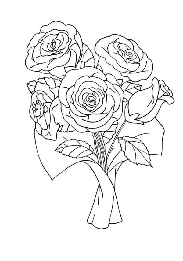 Раскраска: розы (природа) #161929 - Бесплатные раскраски для печати