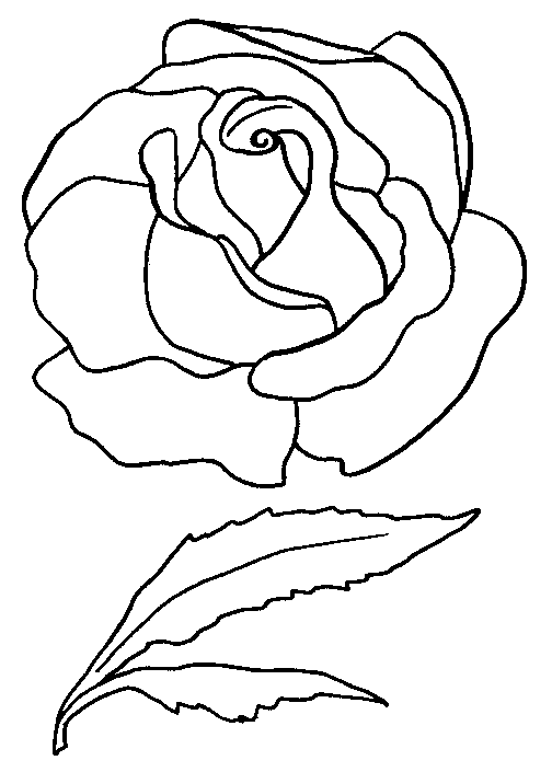 Раскраска: розы (природа) #161931 - Бесплатные раскраски для печати