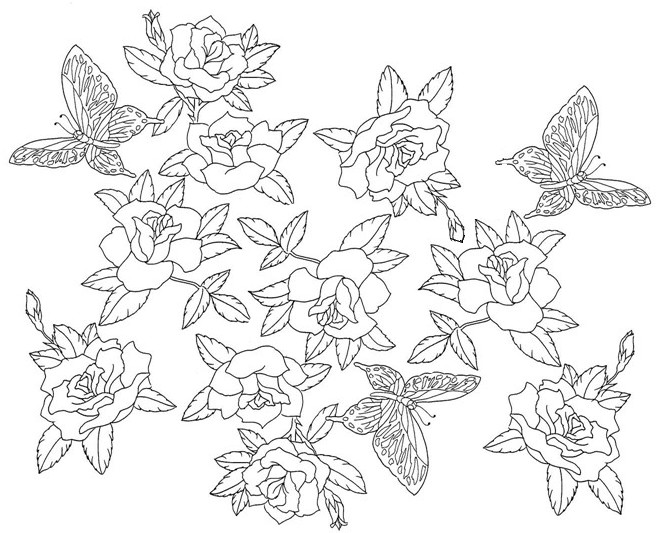Раскраска: розы (природа) #161934 - Бесплатные раскраски для печати