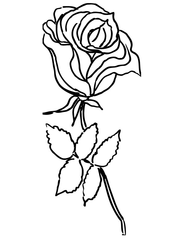 Раскраска: розы (природа) #161935 - Бесплатные раскраски для печати