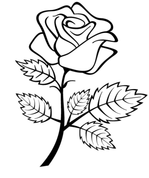 Раскраска: розы (природа) #161936 - Бесплатные раскраски для печати
