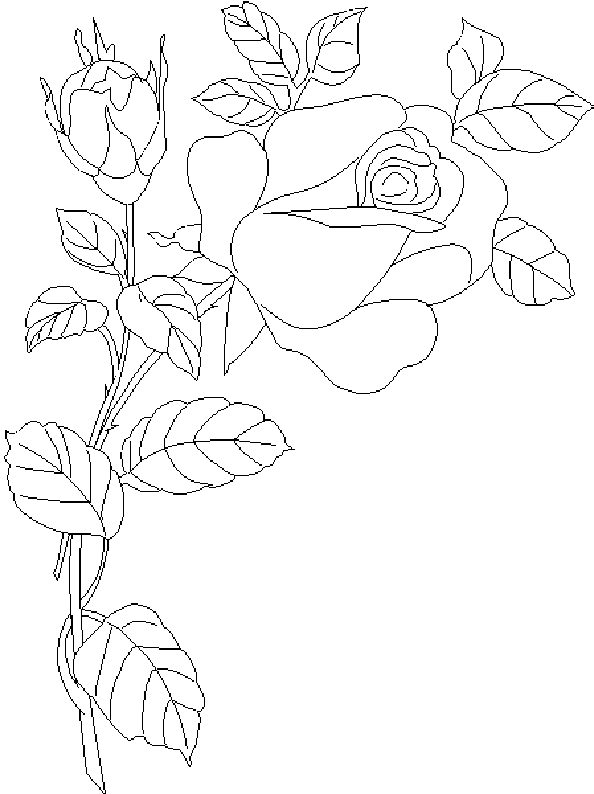 Раскраска: розы (природа) #161949 - Бесплатные раскраски для печати