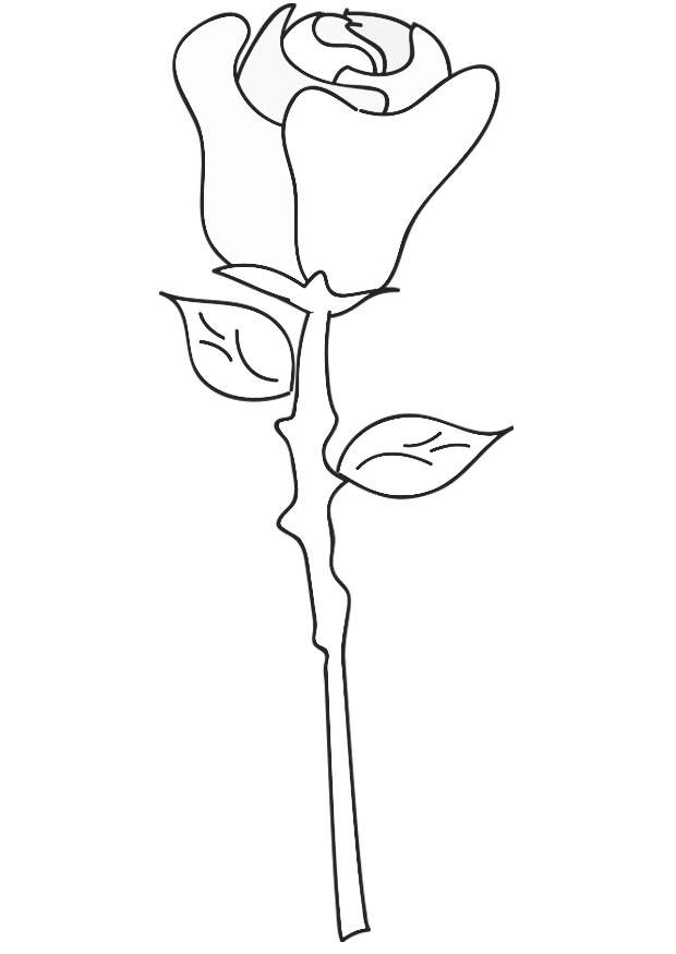 Раскраска: розы (природа) #161950 - Бесплатные раскраски для печати