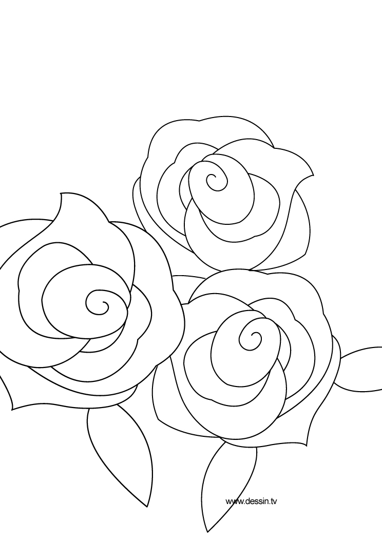 Раскраска: розы (природа) #161958 - Бесплатные раскраски для печати